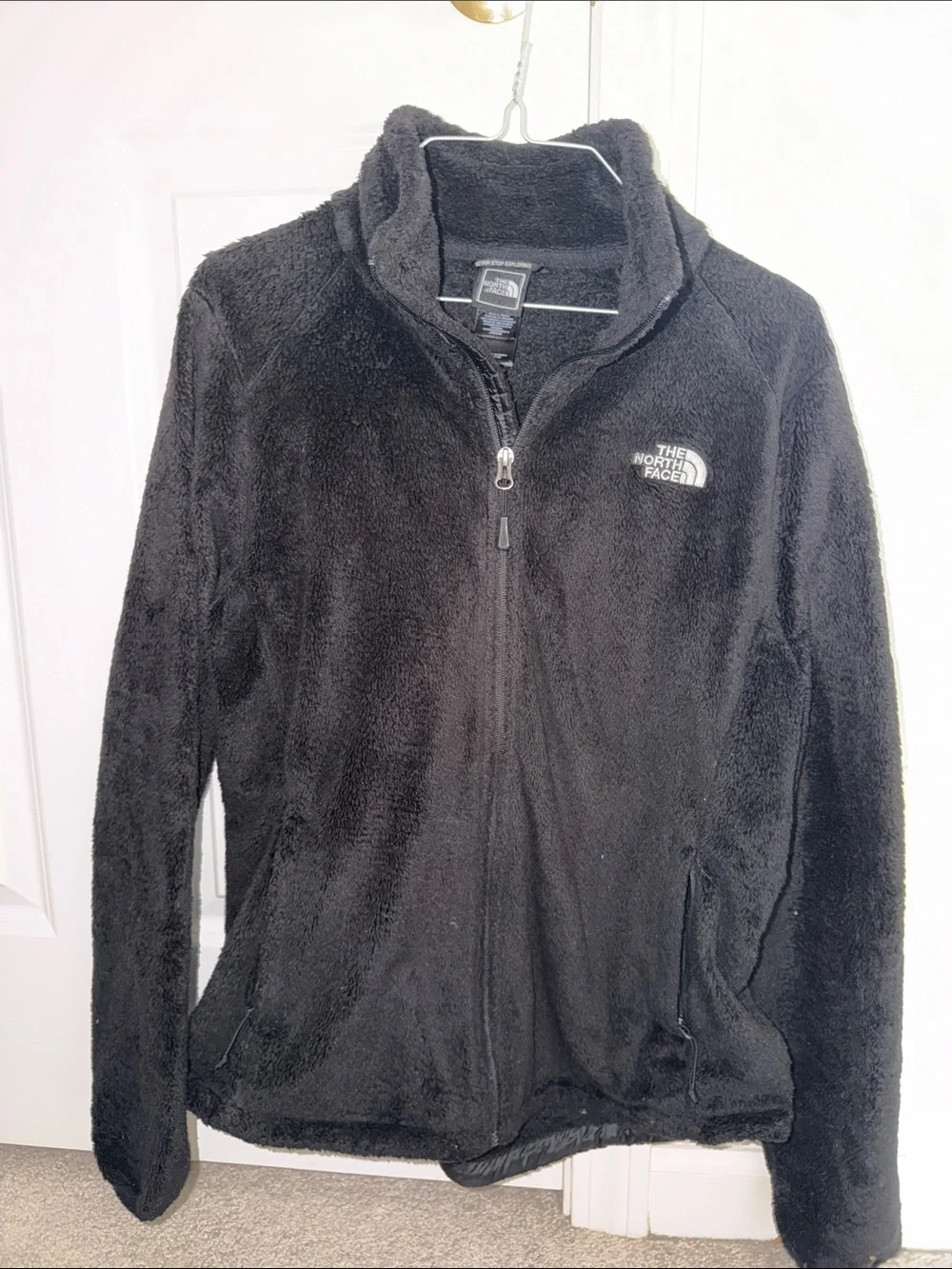 The North Face Black Plush Fleece Full-Zip Jacket